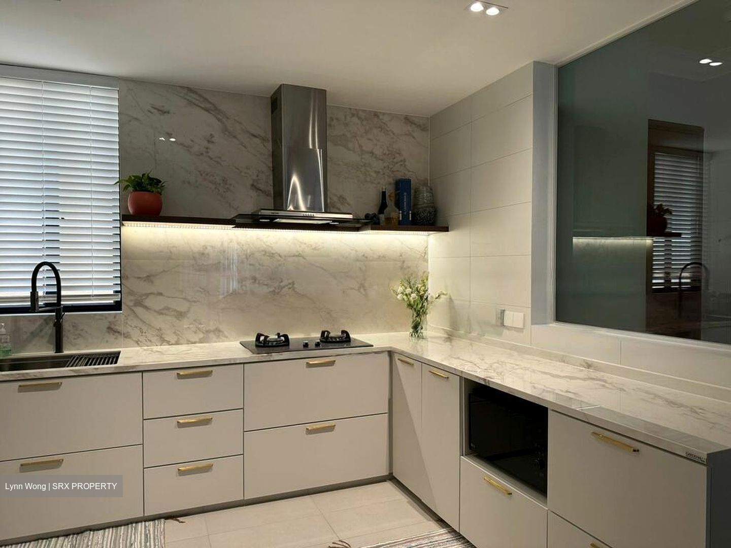 Spring Grove (D10), Condominium #507704851